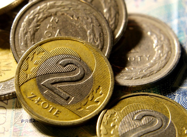 cizí mince